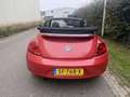 Volkswagen Beetle Cabriolet 1.6 TDI Design / NAVI / AIRCO Rood - thumbnail 13