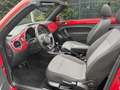 Volkswagen Beetle Cabriolet 1.6 TDI Design / NAVI / AIRCO Rood - thumbnail 7