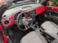 Volkswagen Beetle Cabriolet 1.6 TDI Design / NAVI / AIRCO Rood - thumbnail 5