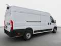 Fiat Ducato 2.2 Multijet Automatik H+L *EPH*3Sitze Weiß - thumbnail 18