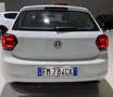Volkswagen Polo OFFERTA LIMITATA ENTRO 15/12 Benzina Neopatentati - thumbnail 5
