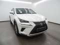 Lexus NX 300 300h Business 2WD - thumbnail 3