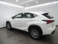 Lexus NX 300 300h Business 2WD - thumbnail 28