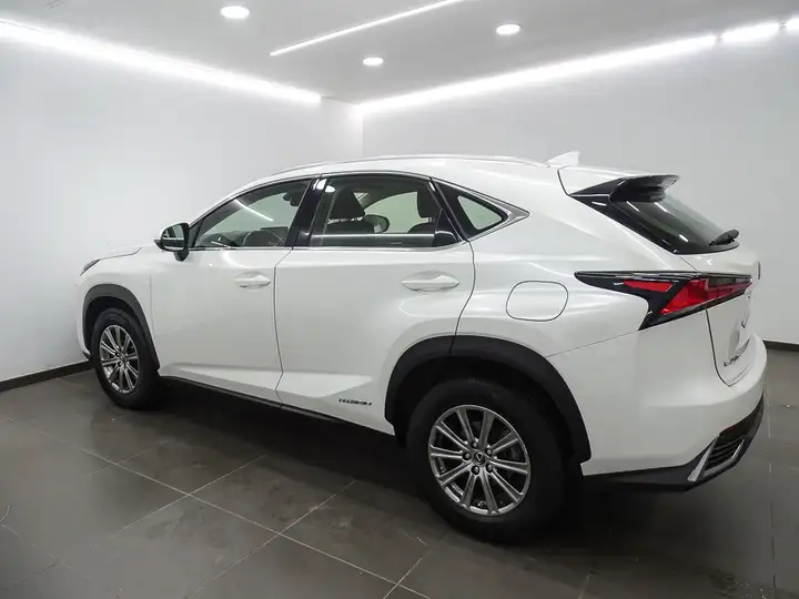 Lexus NX 300h BUSINESS 2WD 2019, foto 28
