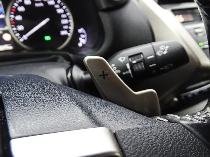 Lexus NX 300h BUSINESS 2WD 2019, foto 22
