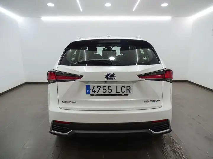 Lexus NX 300h BUSINESS 2WD 2019, foto 11