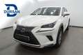 Lexus NX 300 300h Business 2WD - thumbnail 1