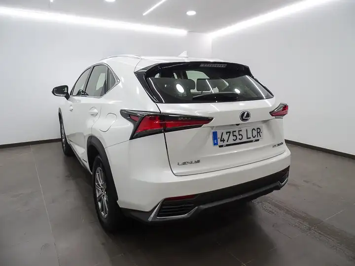 Lexus NX 300h BUSINESS 2WD 2019, foto 4
