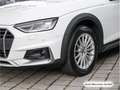 Audi A4 allroad A4 allroad 40 TDI qu. S tronic StdHzg/Virtual/Na Weiß - thumbnail 9