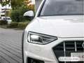 Audi A4 allroad A4 allroad 40 TDI qu. S tronic StdHzg/Virtual/Na Weiß - thumbnail 10
