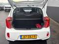 Kia Picanto 1.0 CVVT Comfort Pack UNIEKE KM-stand! Airco, Nieu Blanco - thumbnail 14