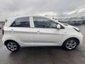 Kia Picanto 1.0 CVVT Comfort Pack UNIEKE KM-stand! Airco, Nieu Blanco - thumbnail 7