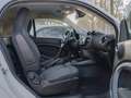 smart forTwo EQ  Winter+SHZ Blanc - thumbnail 7