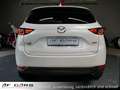 Mazda CX-5 Sports-Line AWD Sports Line Schiebedach HUD Tempom Alb - thumbnail 4