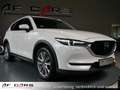 Mazda CX-5 Sports-Line AWD Sports Line Schiebedach HUD Tempom Alb - thumbnail 7