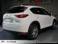 Mazda CX-5 Sports-Line AWD Sports Line Schiebedach HUD Tempom Alb - thumbnail 5