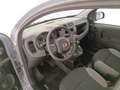 Fiat New Panda 1.0 FireFly Hybrid Grigio - thumbnail 10