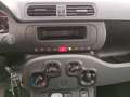 Fiat New Panda 1.0 FireFly Hybrid Grigio - thumbnail 15