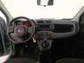 Fiat New Panda 1.0 FireFly Hybrid Grigio - thumbnail 9