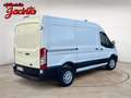 Ford Transit FT 350 L2 Kombi Trend 130 Weiß - thumbnail 8