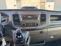 Ford Transit FT 350 L2 Kombi Trend 130 Weiß - thumbnail 13