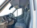 Ford Transit FT 350 L2 Kombi Trend 130 Weiß - thumbnail 16
