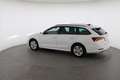 Skoda Octavia Combi 2,0 TDI 4x4 Ambition DSG Weiß - thumbnail 16