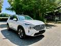 Hyundai SANTA FE SANTA FE 2.2 CRDi 4WD Prime PANO AHK Weiß - thumbnail 3
