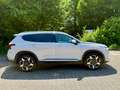 Hyundai SANTA FE SANTA FE 2.2 CRDi 4WD Prime PANO AHK Weiß - thumbnail 4