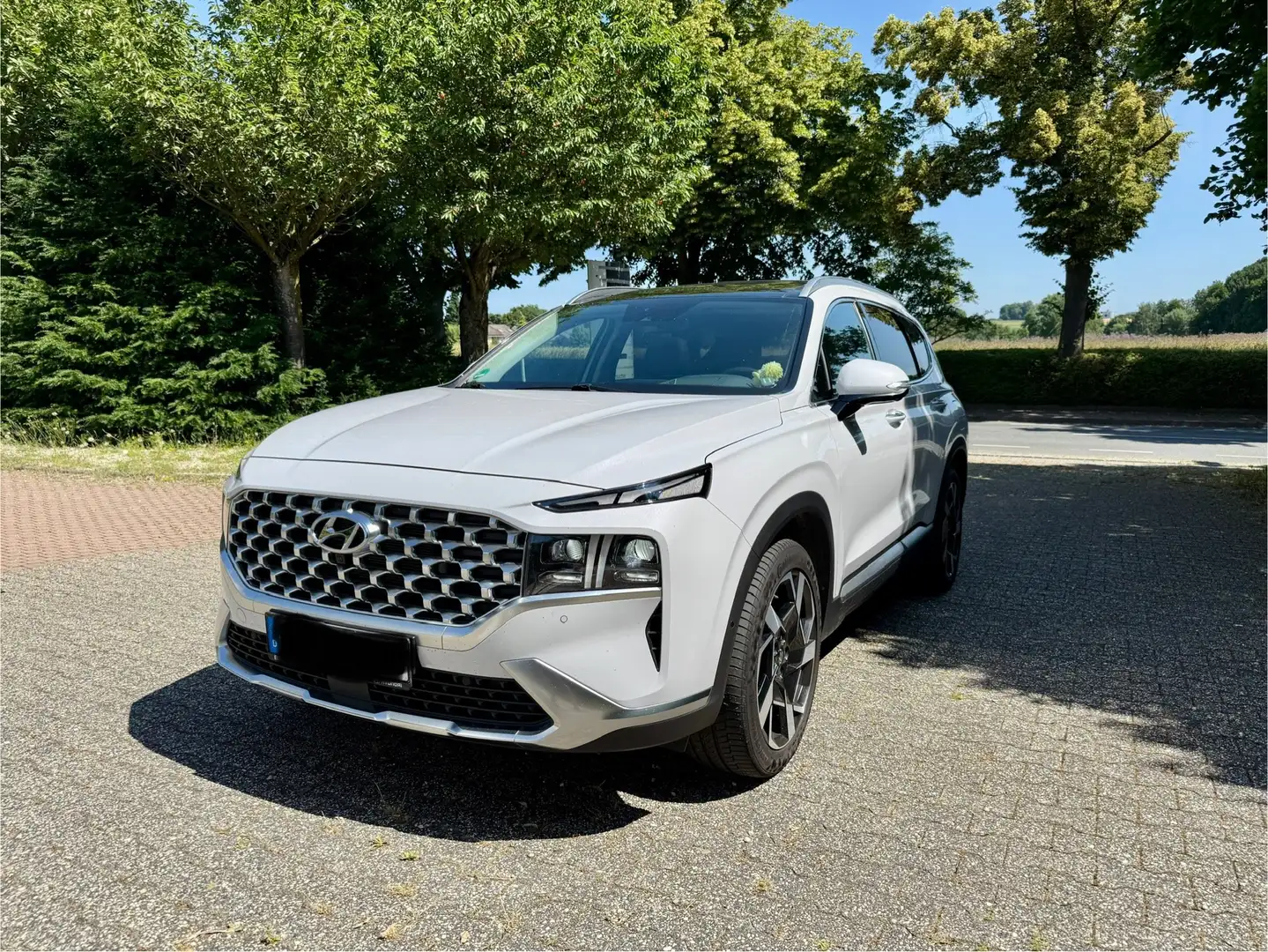 Hyundai SANTA FE SANTA FE 2.2 CRDi 4WD Prime PANO AHK Weiß - 1