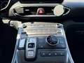 Hyundai SANTA FE SANTA FE 2.2 CRDi 4WD Prime PANO AHK Weiß - thumbnail 12