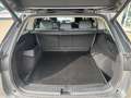 Skoda Kodiaq 2.0 TDI  4x4 DSG Matrix 4xSHZ AHK Grau - thumbnail 15