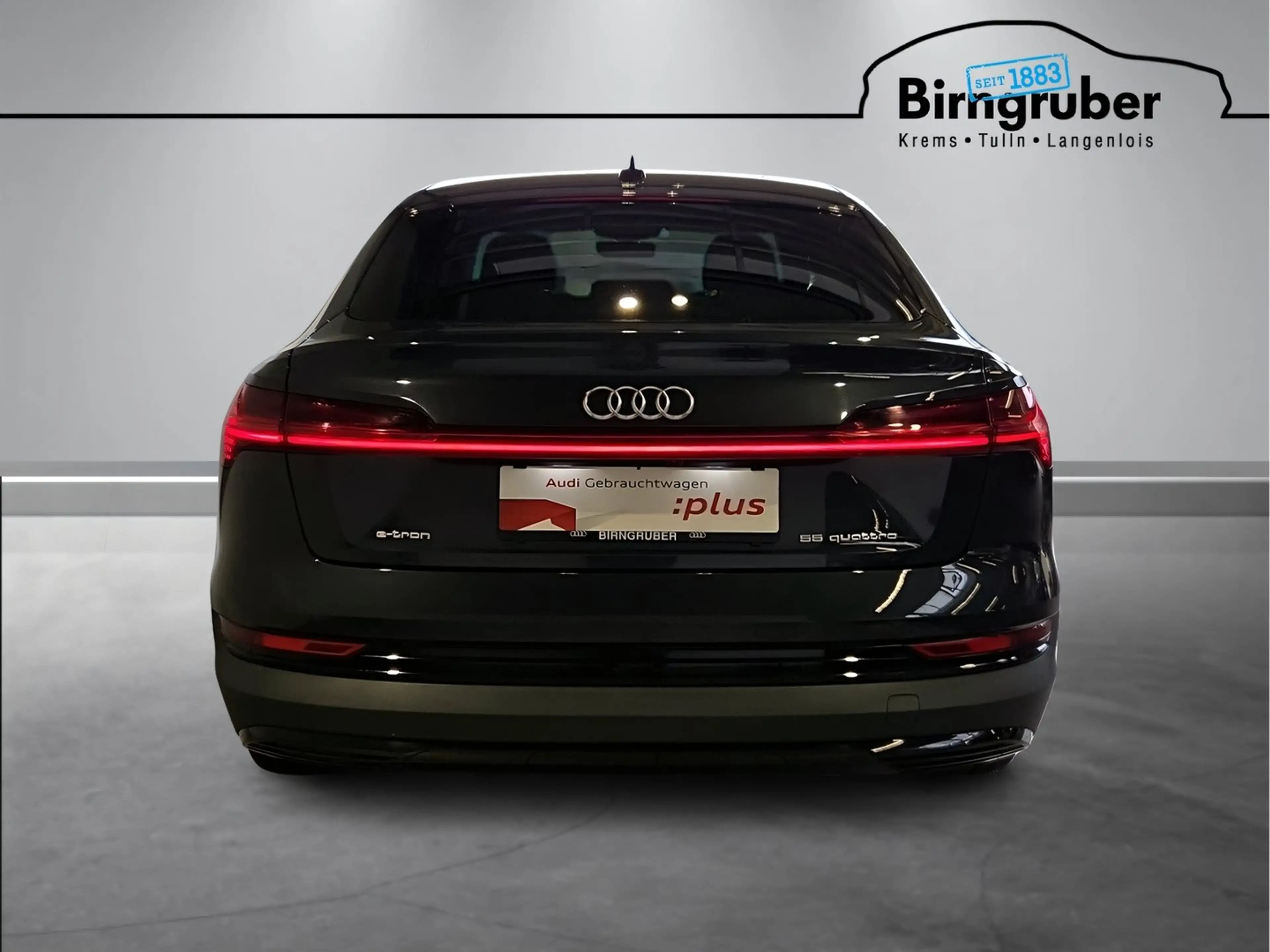 Audi e-tron 55 300 kW Business — photo 5