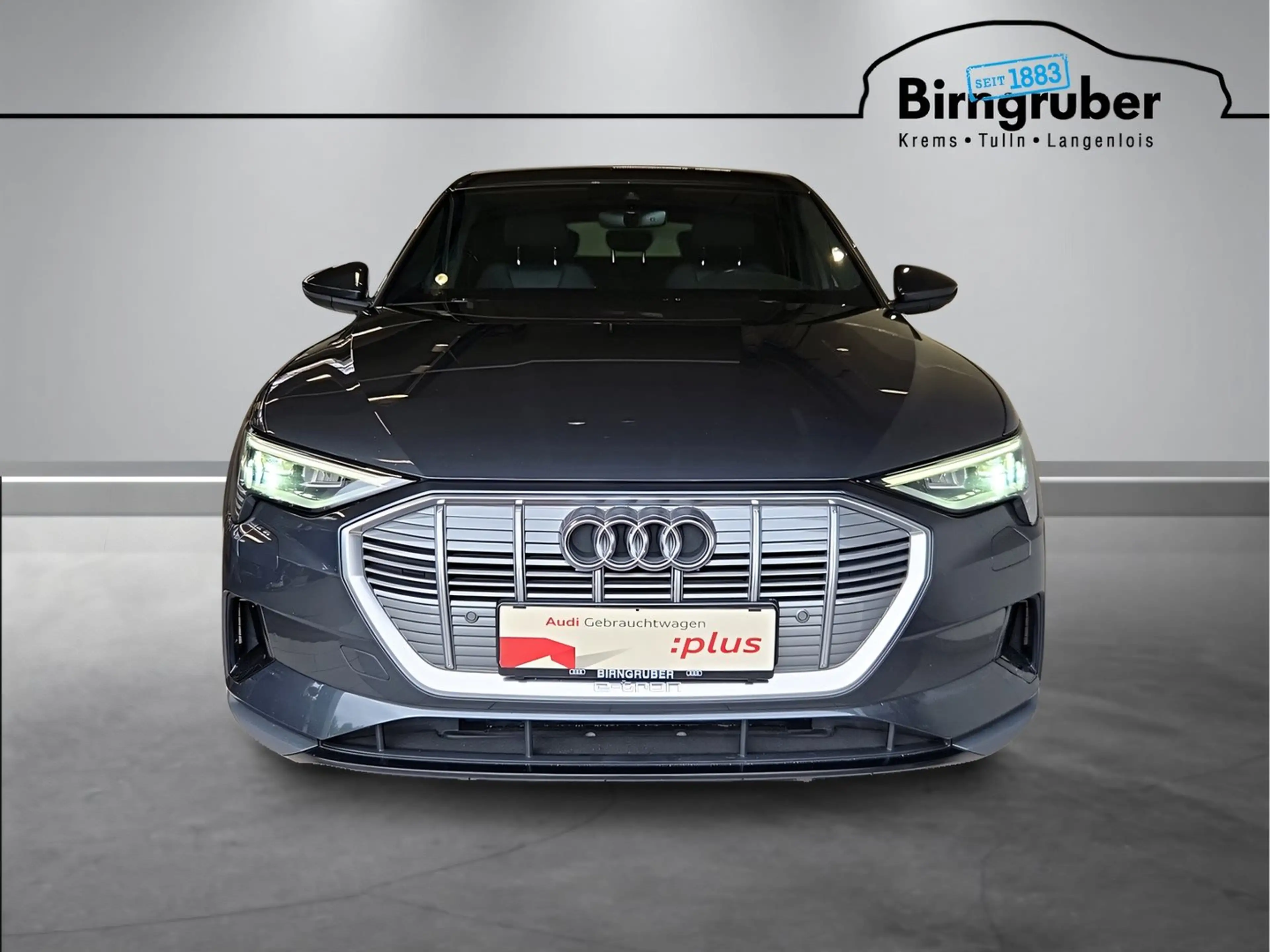 Audi e-tron 55 300 kW Business — photo 2