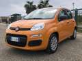 Fiat Panda Panda 1.0 firefly hybrid s Arancione - thumbnail 2
