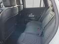 Mercedes-Benz EQA EQA Alb - thumbnail 17