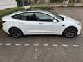 Tesla Model 3 Model 3 Standard Reichweite Plus Hinterradantrieb Weiß - thumbnail 5