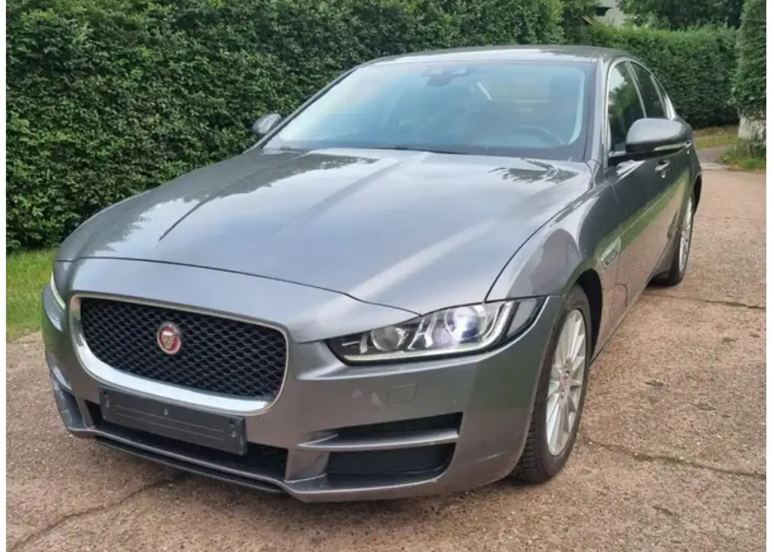 Jaguar XE 2.0 D - 163 ch BVA 8 E-Performance Pure - 1