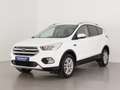 Ford Kuga 1.5 EcoB. Auto S&S Trend+ 4x2 120 Blanc - thumbnail 3