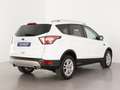 Ford Kuga 1.5 EcoB. Auto S&S Trend+ 4x2 120 Blanc - thumbnail 7