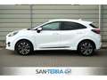 Ford Puma HYBRID ST-LINE X 1.0 ECOBOOST DSG ACC*B&O*KAMERA*L Wit - thumbnail 6