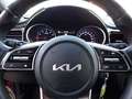 Kia XCeed 1.5 T-GDi 160 CV MHEV iMT Business Rosso - thumbnail 15