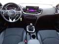 Kia XCeed 1.5 T-GDi 160 CV MHEV iMT Business Rosso - thumbnail 14