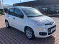Fiat New Panda 1.3 MJT 95cv S.&S. EASY 5 POSTI Wit - thumbnail 1