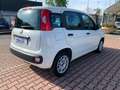 Fiat New Panda 1.3 MJT 95cv S.&S. EASY 5 POSTI Wit - thumbnail 6