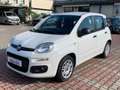 Fiat New Panda 1.3 MJT 95cv S.&S. EASY 5 POSTI Fehér - thumbnail 5