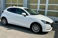 Mazda 2 G90 100 Years limitiertes Sondermodell, höchste Weiß - thumbnail 6