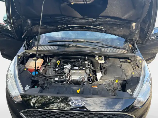 Ford C-Max view 14