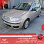 Fiat Punto Classic 1.2 5p. Active Beige - thumbnail 1