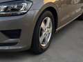 Volkswagen Golf Sportsvan VII 1.4 TSI 6-Gang PDC AUTO-HOLD SHZ Bi-XENON Grau - thumbnail 9